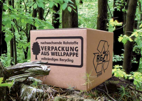 Wellpappe im Wald © vdw Wellpappe im Wald © vdw